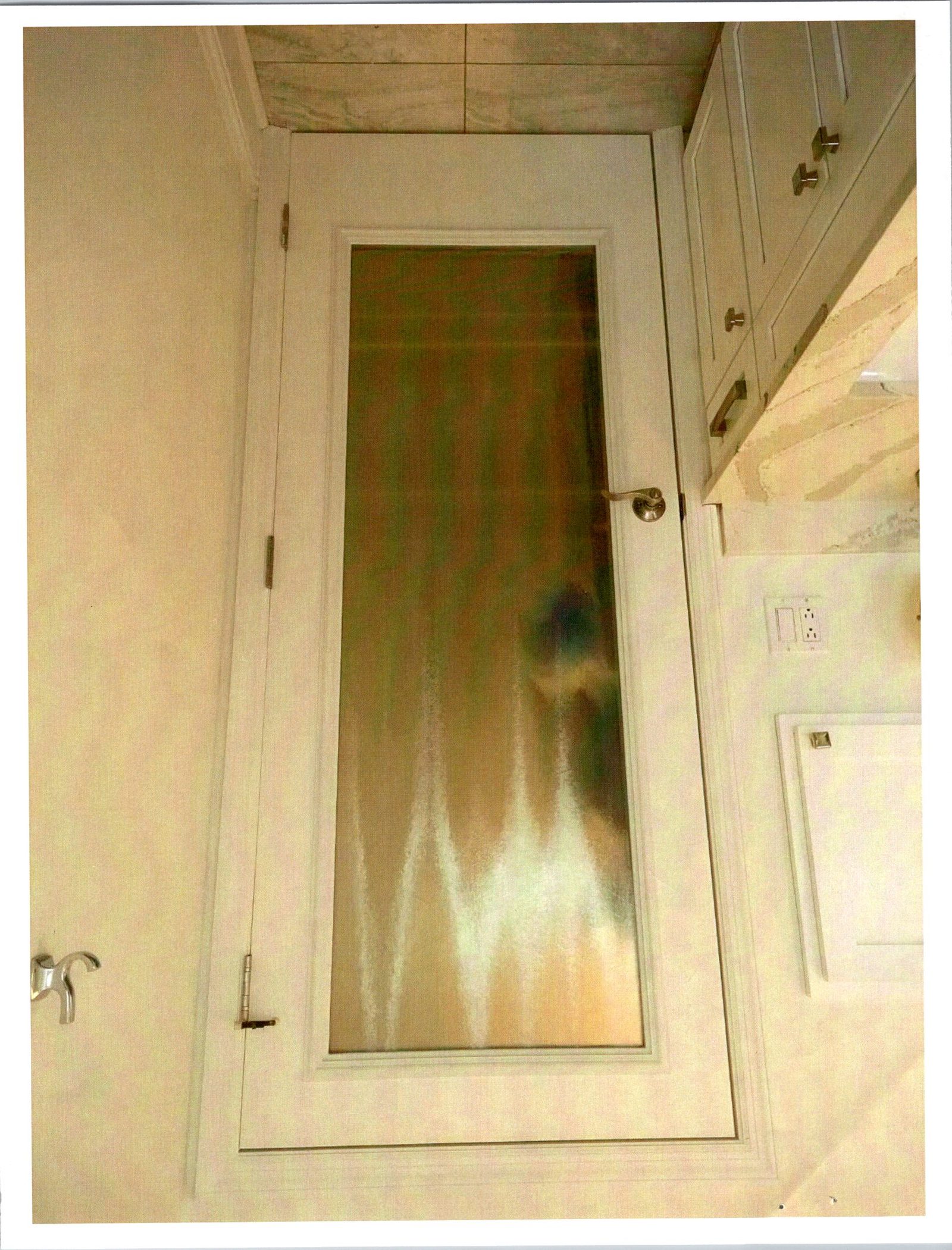 Interior Bathroom Door with Chinchilla Insert — completed project