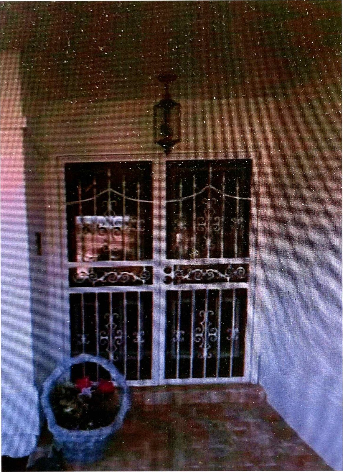 Screen, Security & Storm Doors — completed project